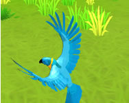 Parrot simulator